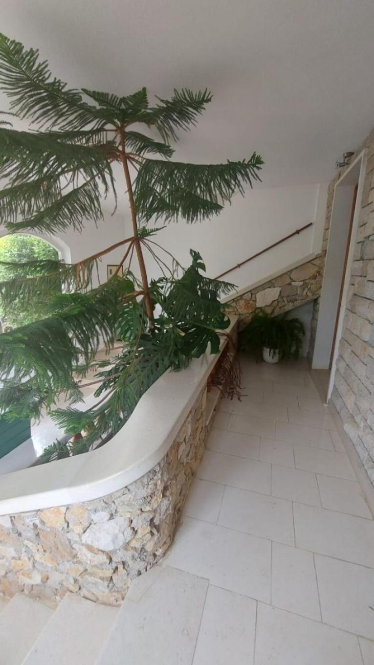 Apartment Brane Bol Kültér fotó