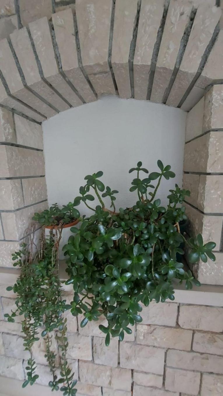 Apartment Brane Bol Kültér fotó